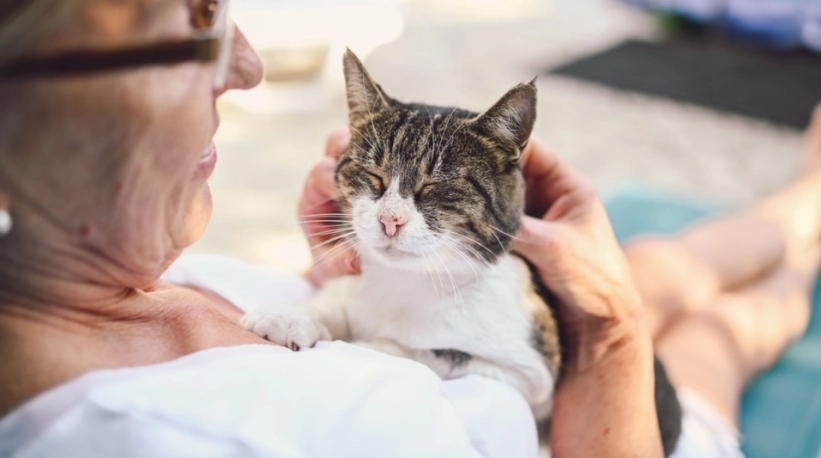 Katze beißt Besitzer ins Bein und rettet damit das Leben seiner Frau