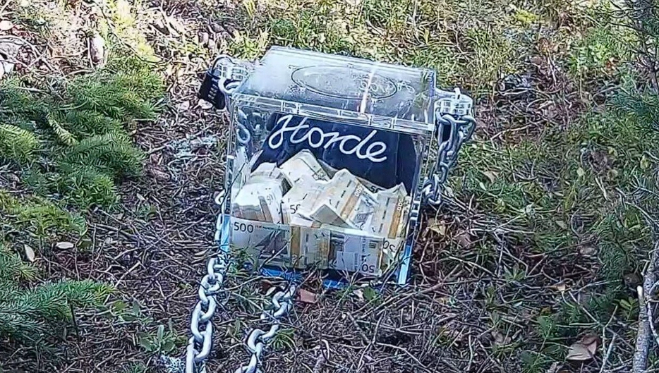 Unternehmen versteckt eine Million in einem Wald – der Finder darf sie behalten