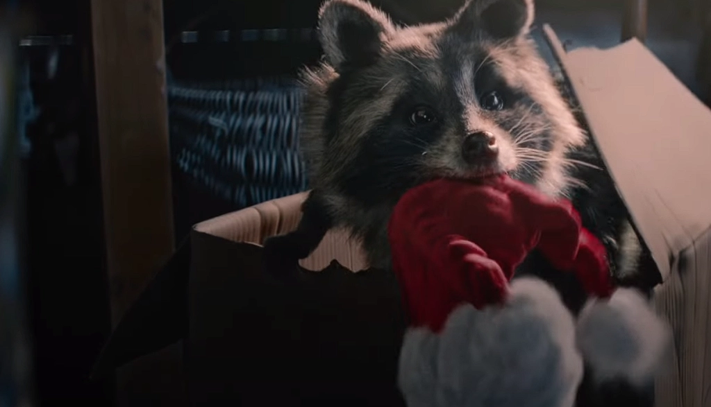 Lidls herzerwärmender Weihnachtswerbespot zeigt mutigen Waschbären, der große Anstrengungen unternimmt, um ein Geschenk an Jungen zu überbringen