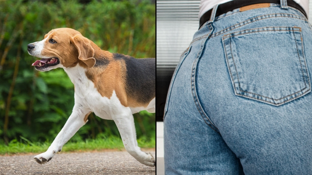 Ihr Hund schnüffelte ständig an ihrem Hintern: Bis heute ist sie dankbar