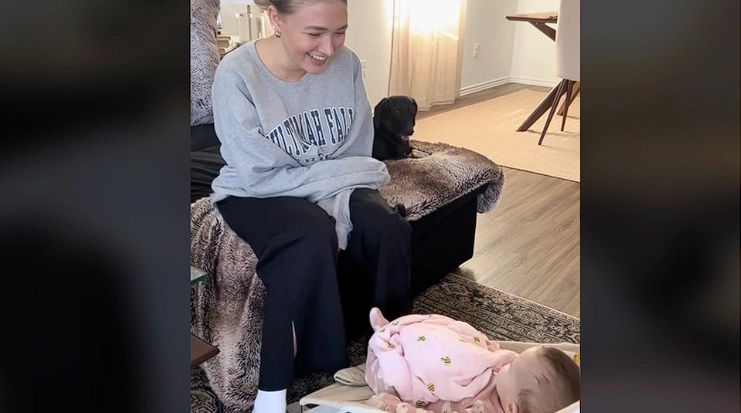 Eifersüchtiger Dackel wird zum Viral-Hit: Seine Reaktion auf das neue Baby der Familie