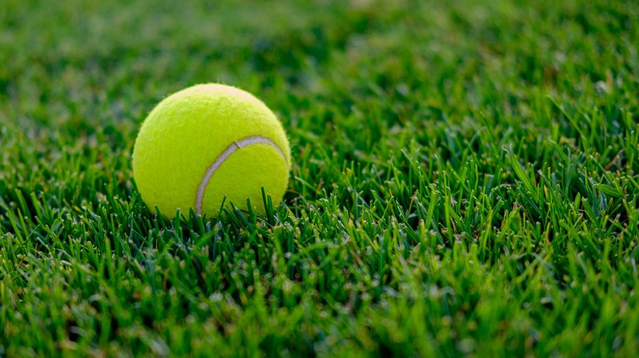 Warum lassen die Engländer alte Tennisbälle im Winter in ihren Gärten liegen – jeder sollte es genauso machen