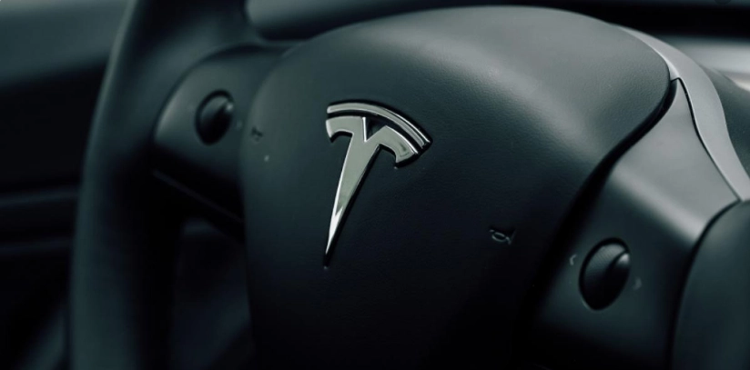 Kasper schämt sich, einen Tesla zu fahren
