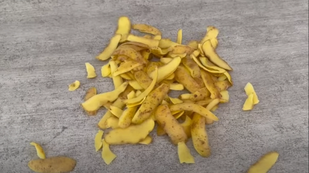 Selbst die meisten Menschen werfen Kartoffelschalen in den Müll – aber warte, bis du siehst, wie wertvoll sie sind, wie ein Goldstück.