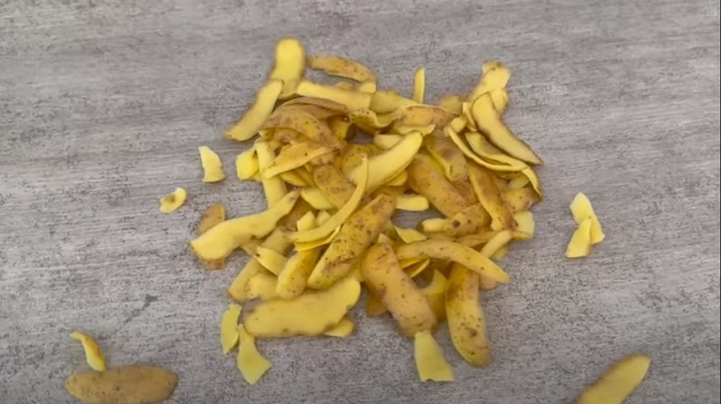 Selbst die meisten Menschen werfen Kartoffelschalen in den Müll – aber warte, bis du siehst, wie wertvoll sie sind, wie ein Goldstück.