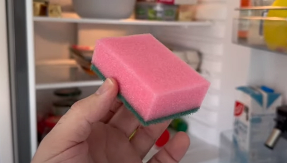 Wussten Sie schon? Die Farbe Ihres Spülschwamms hat tatsächlich einen Zweck