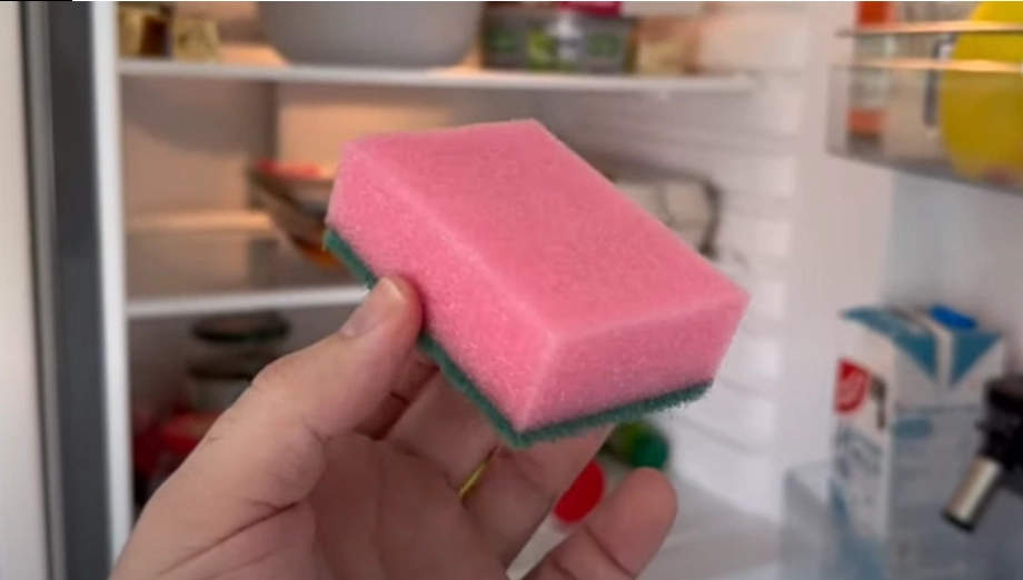 Wussten Sie schon? Die Farbe Ihres Spülschwamms hat tatsächlich einen Zweck