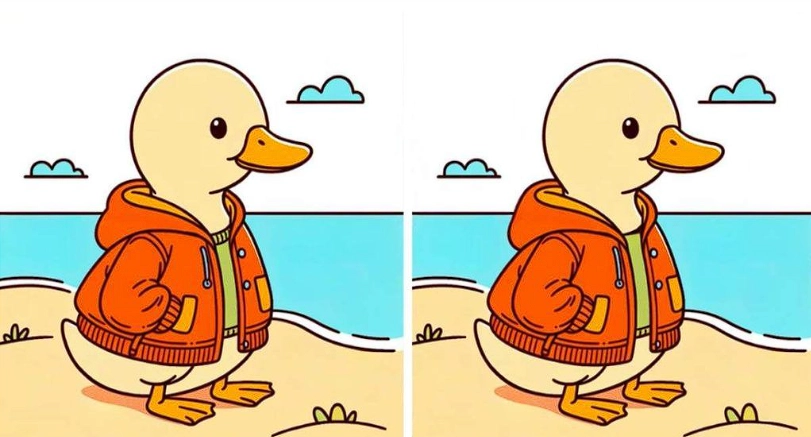 Gehirnjogging: Gibt es 3 Unterschiede zwischen den Bildern eines Entenkükens mit einer Jacke. Können Sie sie alle in 9 Sekunden entdecken?