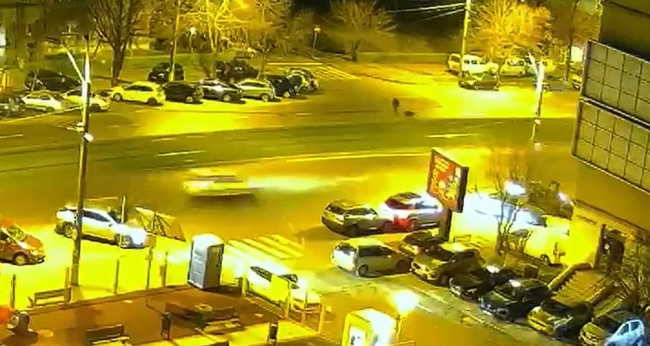 Video: Tragischer Motorradunfall in Bukarest fordert Leben von Hund und Besitzer