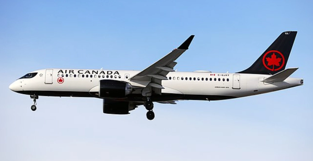 Passagier fiel aus Flugzeug, nachdem er Kabinentür geöffnet hatte