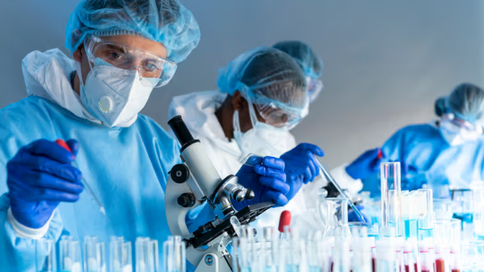Disease X: Alles, was Sie über das WHO-Experiment wissen müssen
