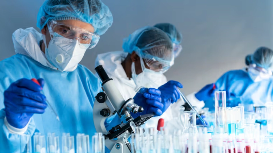 Disease X: Alles, was Sie über das WHO-Experiment wissen müssen