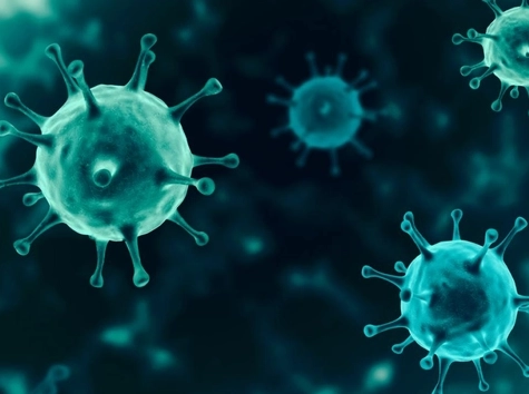 Verdacht auf Marburg-Virus in Hamburg: Zwei Menschen unter Quarantäne