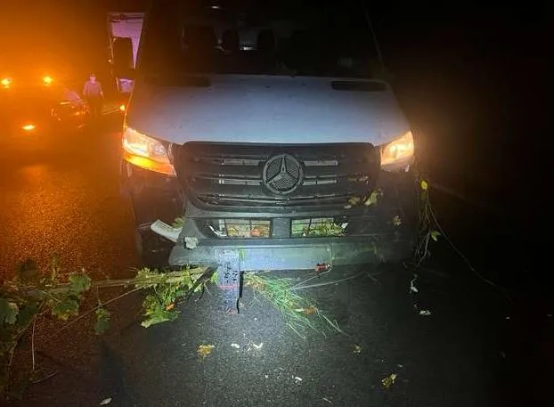 Trunkenheitsfahrt endet an Baum – Sprinterfahrer unverletzt