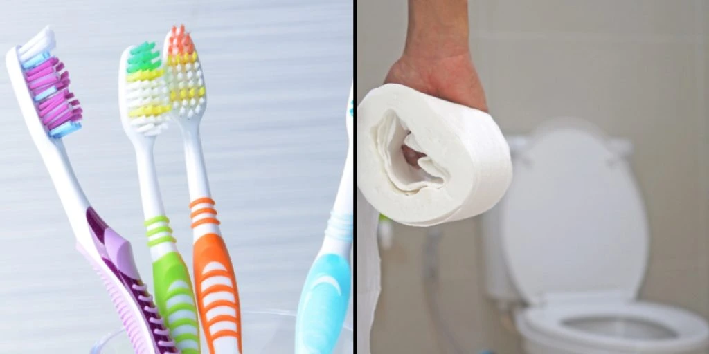 Wir alle tun es – Aber deshalb sollten Sie Ihre Zahnbürste nicht im Badezimmer aufbewahren