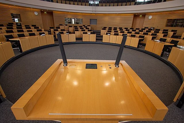 AfD sorgt für Eklat – Verfassungsgericht muss entscheiden