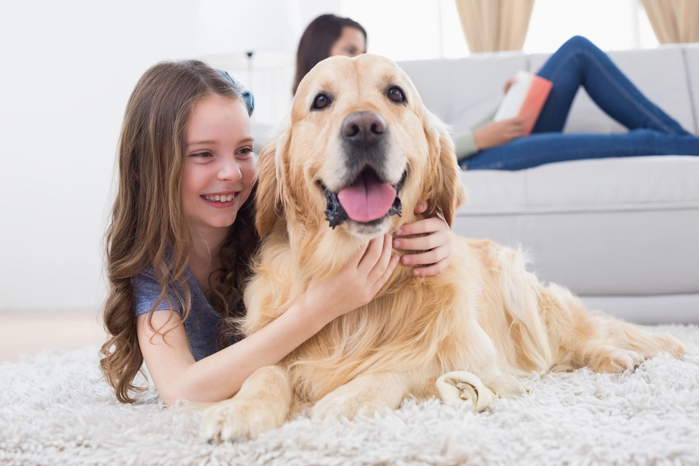 14 überraschende Fakten über Hunde