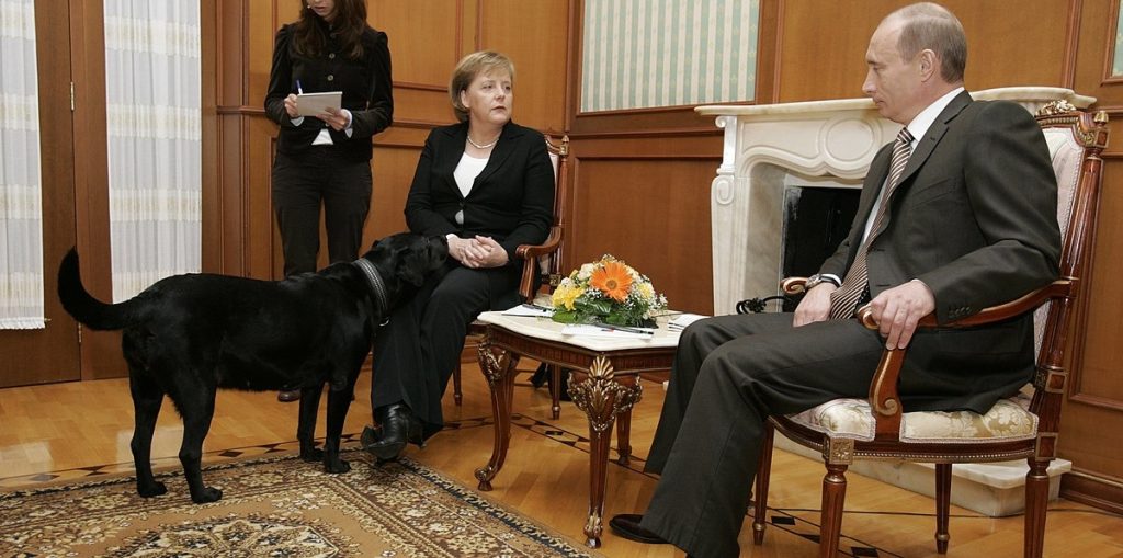 „Vergib mir“: Putin bittet Merkel um Verzeihung nach Enthüllung eines „Machtspiels“