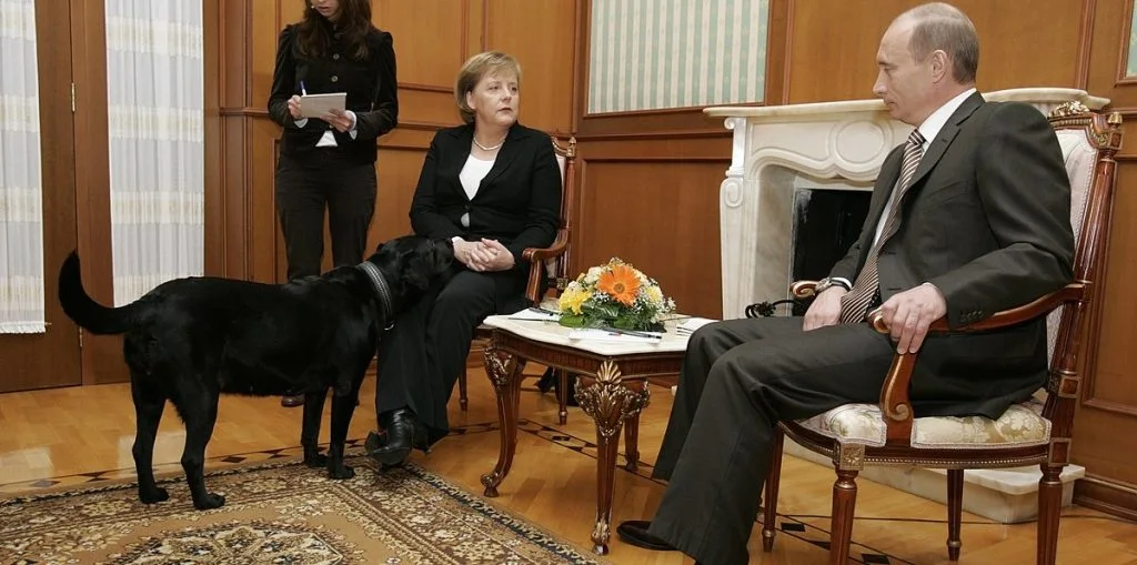 „Vergib mir“: Putin bittet Merkel um Verzeihung nach Enthüllung eines „Machtspiels“