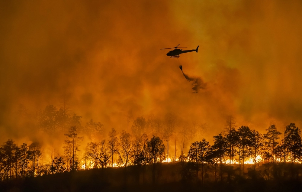Waldbrände außer Kontrolle: Kalifornien kämpft gegen die Flammen