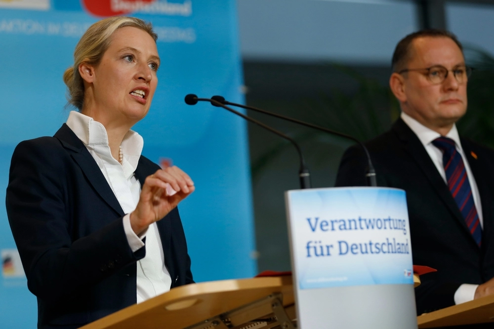 Neues AfD-Gutachten: Verfassungsschutz vor richtungsweisender Entscheidung