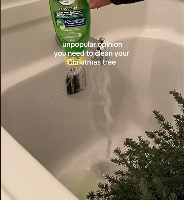 Verrückter Weihnachtstrend auf TikTok: Warum Sie Ihren Baum nicht baden sollten