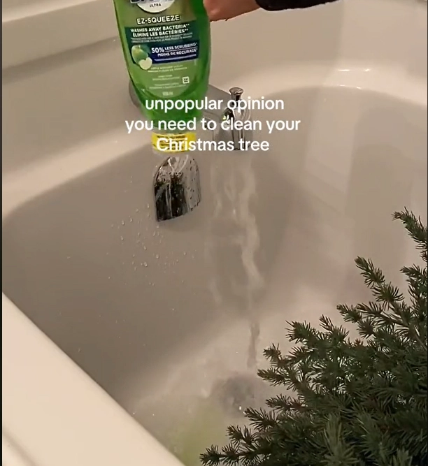 Verrückter Weihnachtstrend auf TikTok: Warum Sie Ihren Baum nicht baden sollten