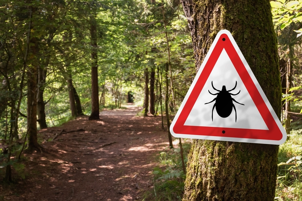 Zeckenentfernung: Kopf stecken geblieben – was tun?