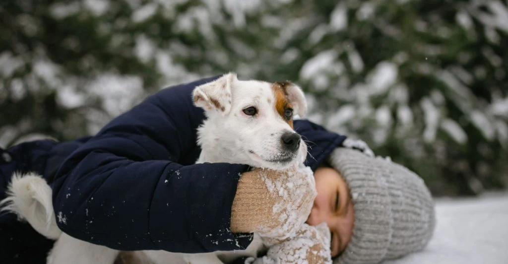 Schon wenige Tropfen können tödlich sein: Diese Symptome können darauf hinweisen, dass Ihr Hund Frostschutzmittel aufgenommen hat