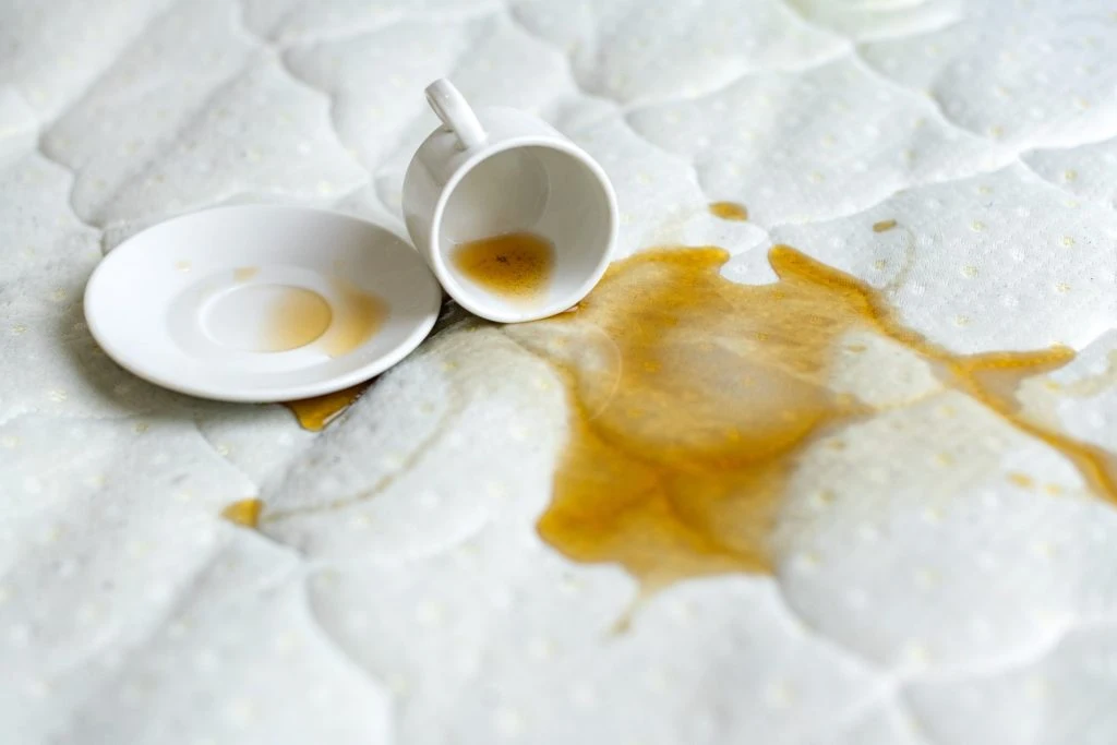 Kaffeeflecken adé: So entfernen Sie sie schnell und effektiv